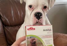 Antinol for Dogs Review: Know about an effective way to improve your dog’s body Antinol for Dogs Review
