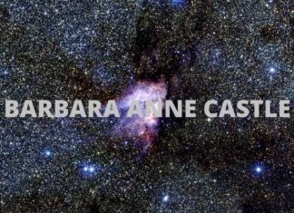 BARBARA ANNE CASTLE Bio BARBARA ANNE CASTLE