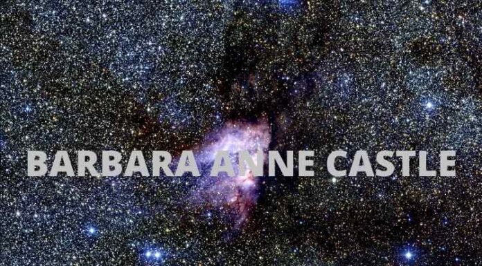 BARBARA ANNE CASTLE Bio BARBARA ANNE CASTLE