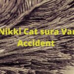 Nikki Cat sura Car Accident Nikki Cat sura Var Accident