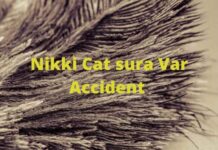 Nikki Cat sura Car Accident Nikki Cat sura Var Accident