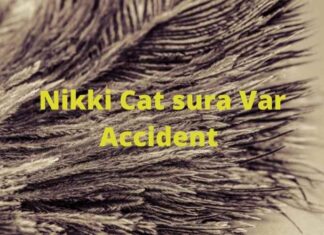 Nikki Cat sura Car Accident Nikki Cat sura Var Accident