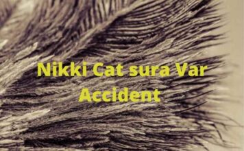 Nikki Cat sura Car Accident Nikki Cat sura Var Accident