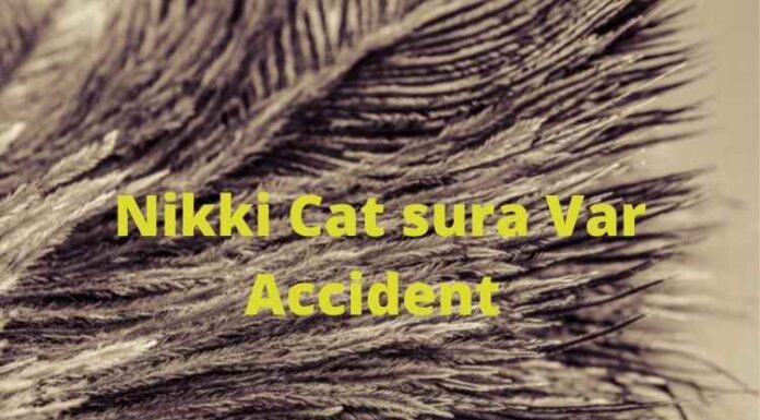 Nikki Cat sura Car Accident Nikki Cat sura Var Accident