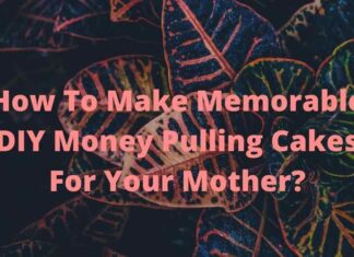 How To Make Memorable DIY Money Pulling Cakes For Your Mother? How To Make Memorable DIY Money Pulling Cakes For Your Mother?