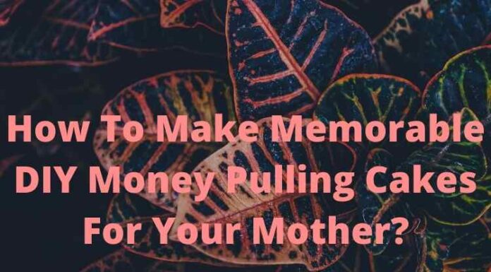 How To Make Memorable DIY Money Pulling Cakes For Your Mother? How To Make Memorable DIY Money Pulling Cakes For Your Mother?