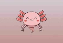 Is Axo2moon Scam Is Axo2moon Scam