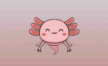 Is Axo2moon Scam Is Axo2moon Scam