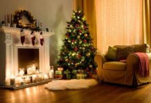 Waveemr Reviews – is it a Scam deal or not? Waveemr Reviews - is it a Scam deal or not?