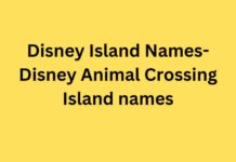 Disney Island Names- Disney Animal Crossing Island names Disney Island Names