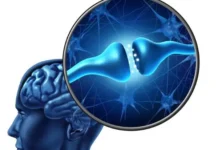 Erasing Painful Memories: What Science Can Do, What It Can’t, and What Actually Helps Erasing Painful Memories What Science Can Do, What It Can’t, and What Actually Helps