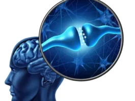 Erasing Painful Memories: What Science Can Do, What It Can’t, and What Actually Helps Erasing Painful Memories What Science Can Do, What It Can’t, and What Actually Helps