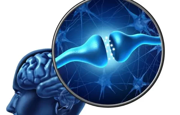 Erasing Painful Memories: What Science Can Do, What It Can’t, and What Actually Helps Erasing Painful Memories What Science Can Do, What It Can’t, and What Actually Helps